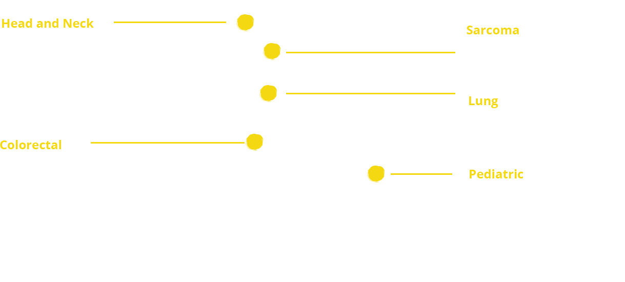 Alt tag